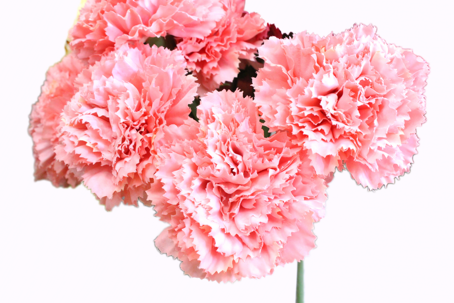 Clavel ramo 55cm (6 tallos) tela