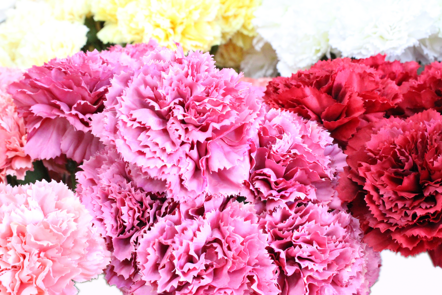 Clavel ramo 55cm (6 tallos) tela