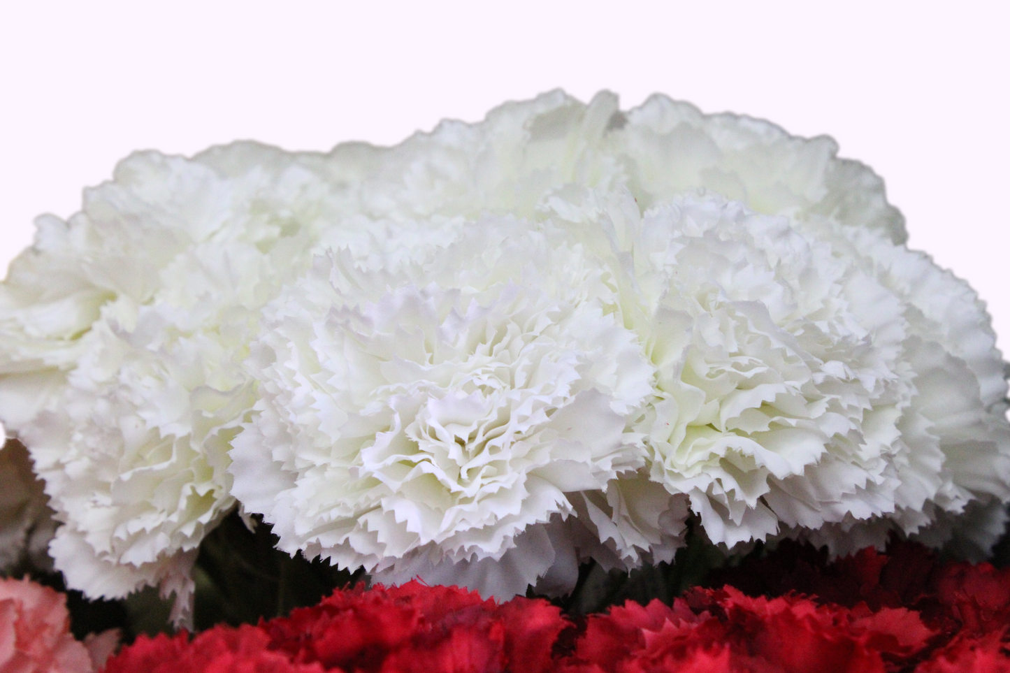 Clavel ramo 55cm (6 tallos) tela