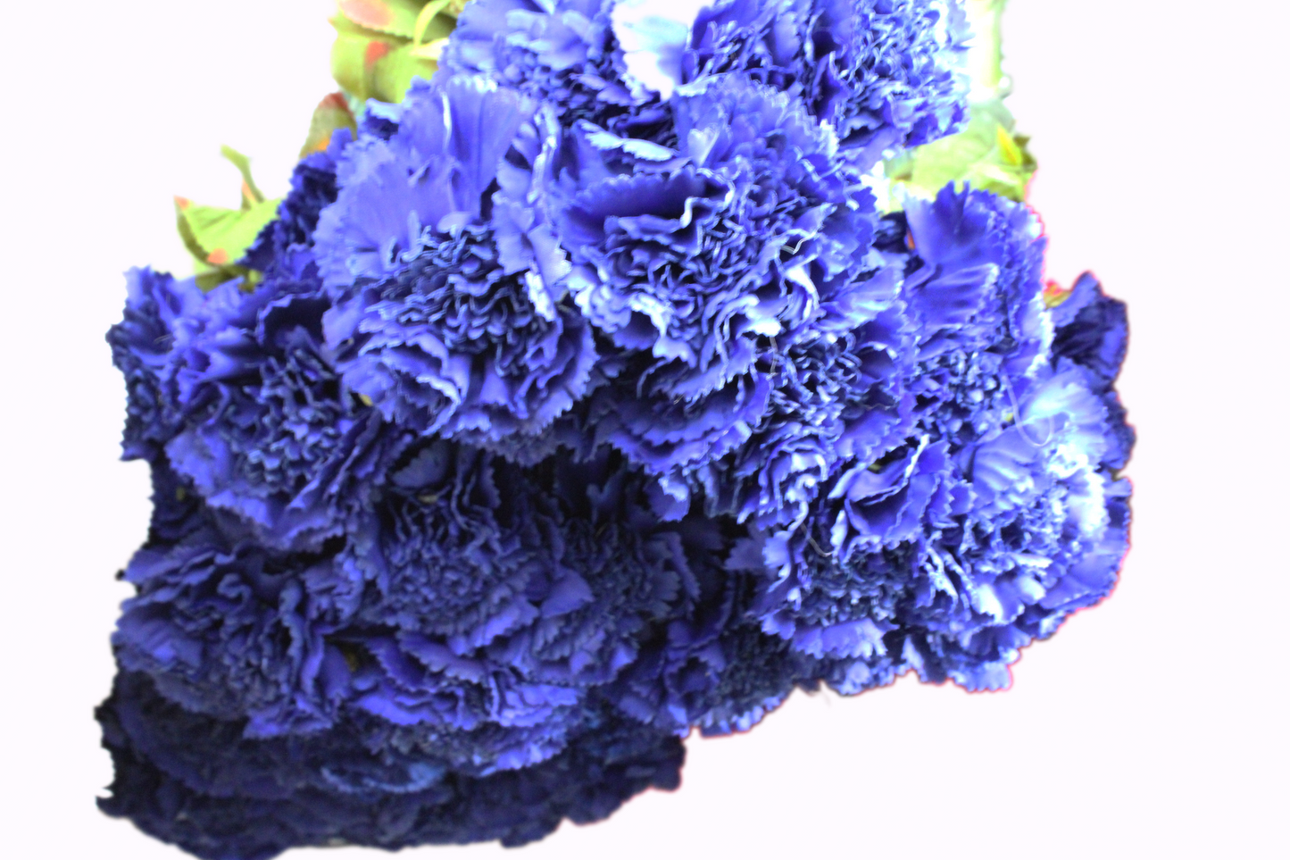 Clavel ramo 55cm (6 tallos) tela