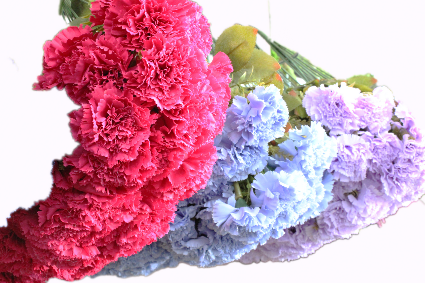 Clavel ramo 55cm (6 tallos) tela