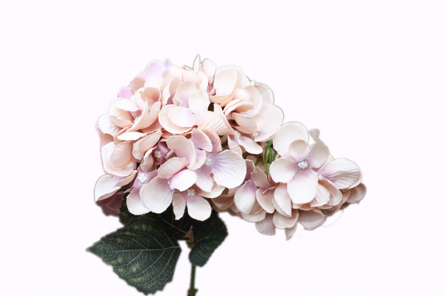 Hortensia Ramo 55cm (5 tallos) Tela